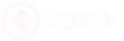 digifikir logo